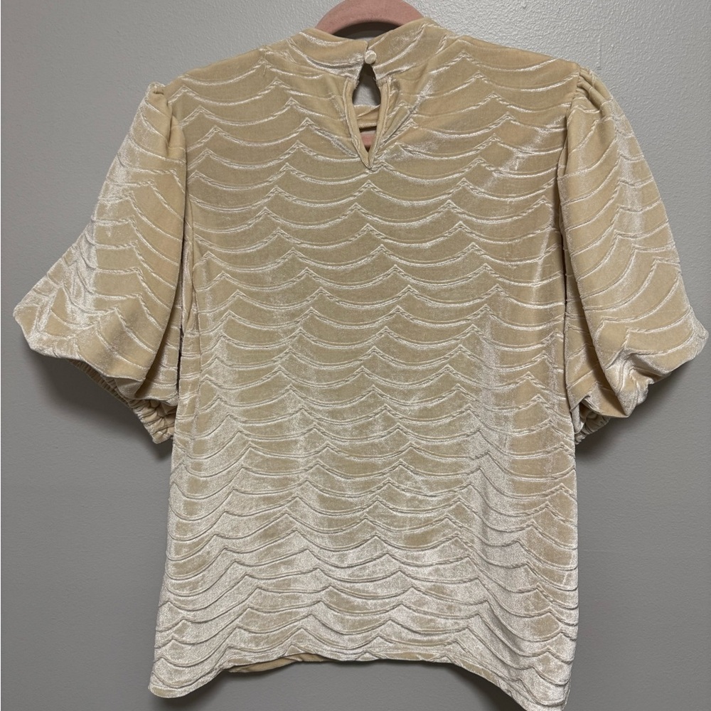 THML Cream Puff Sleeve Velvet Top - Picture 2 of 8